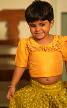 Esha - Crop Top and Skirt Occasion Edit