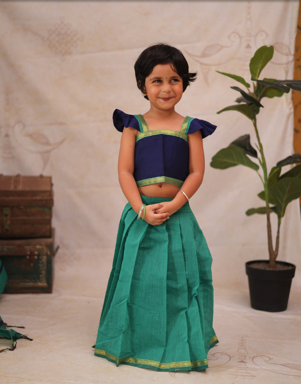 Aakriti - Crop top and skirt