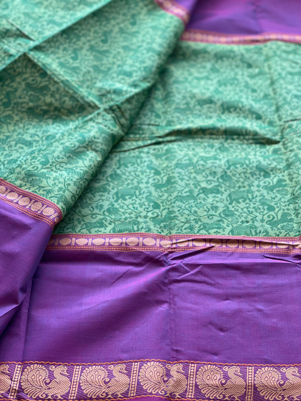 Kanchi cotton Saree - Festive Collection