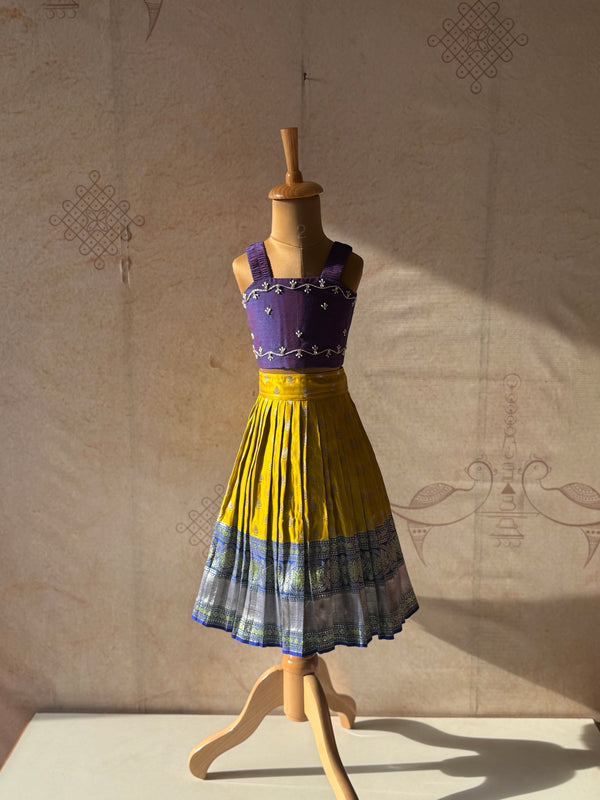 Esha - Crop Top and Skirt Occasion Edit