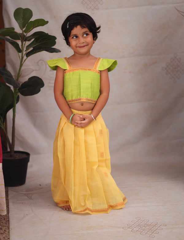 Aakriti - Crop top and skirt