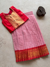 Chettinad Cotton Skirt and Paithani Top