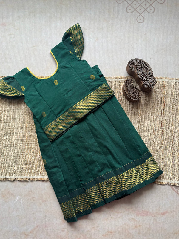 Aakriti - Crop top and skirt