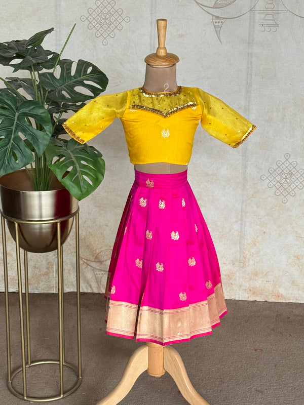 Banarasi Crop Top And Skirt