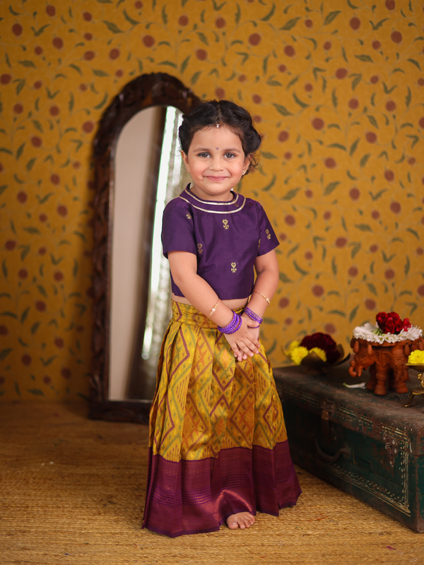 Pochampally Crop top and skirt - Festive Collection Express