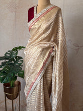 Pure Silk Tissue Kanchi Border Saree | Wedding & Festive Wear