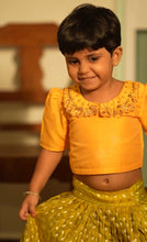 Esha - Crop Top and Skirt Occasion Edit