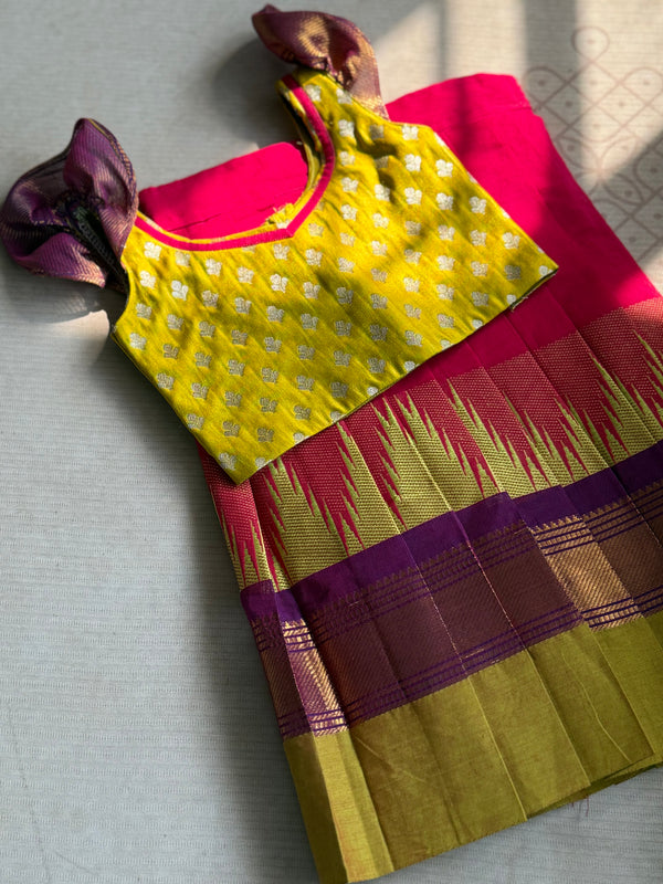 Taara - Banarasi Crop Top & Kanchi Cotton Skirt